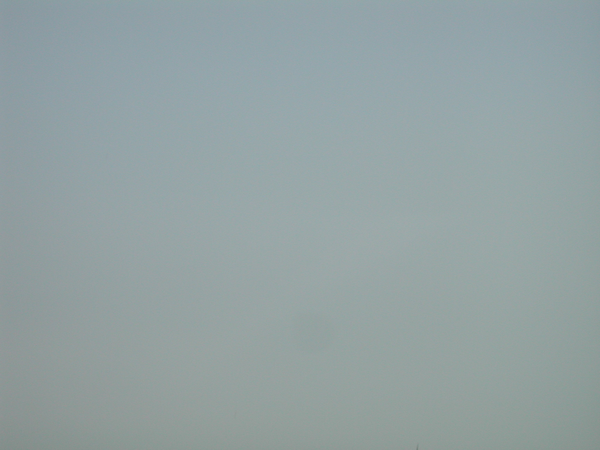 DSCN3127.JPG(384 Kbyte)