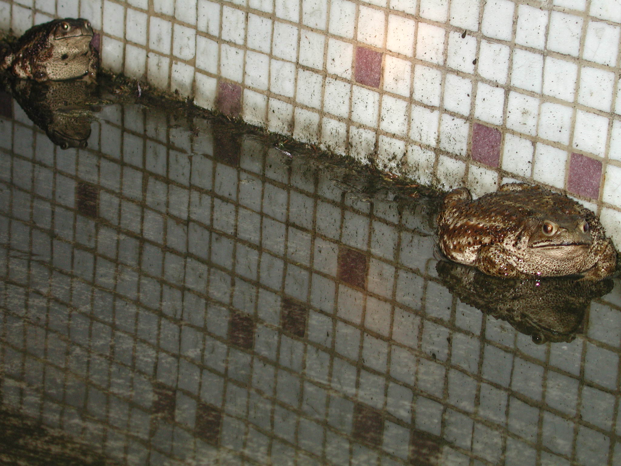 DSCN3292.JPG(401 Kbyte)