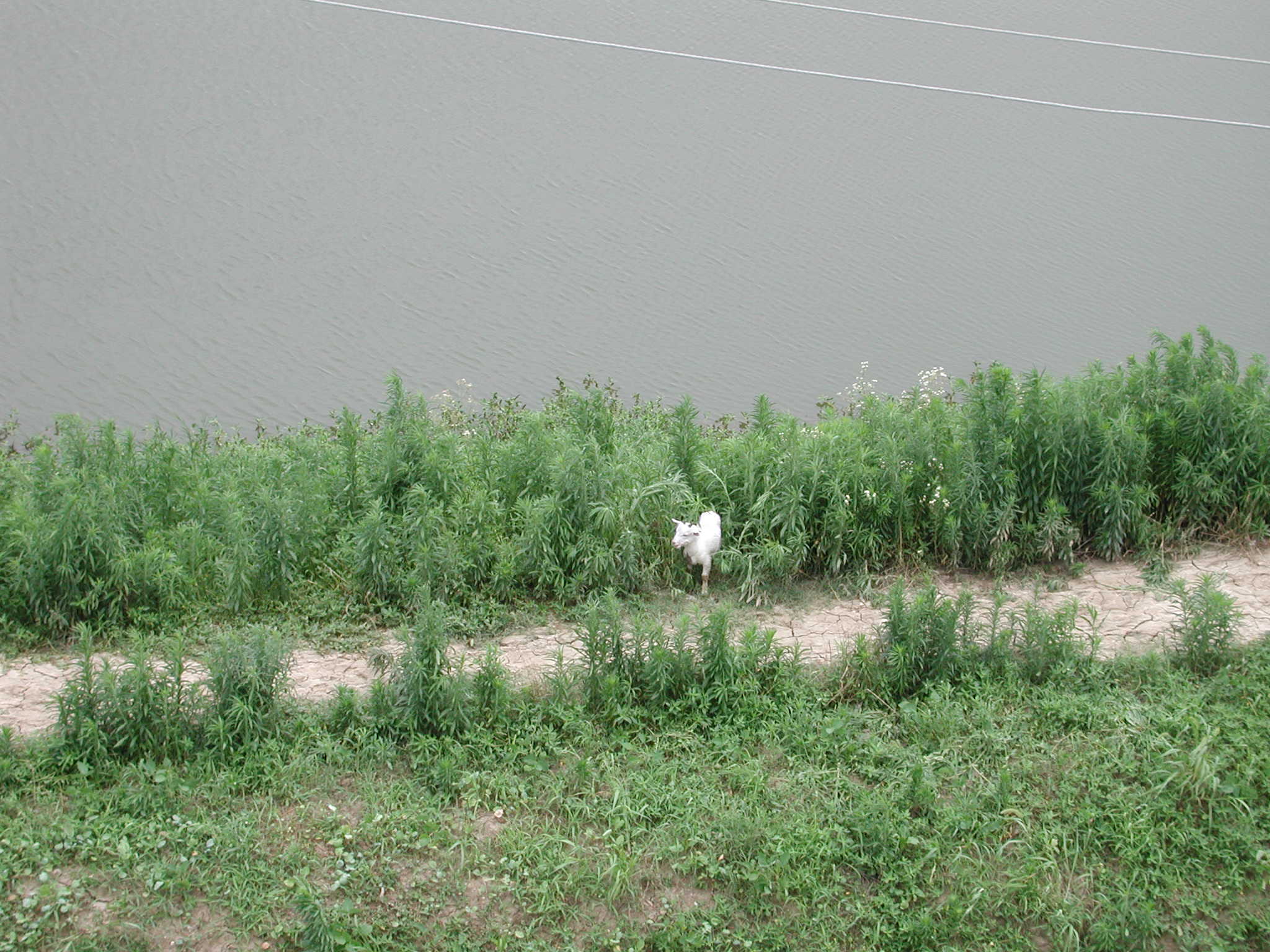 DSCN3458.JPG(383 Kbyte)