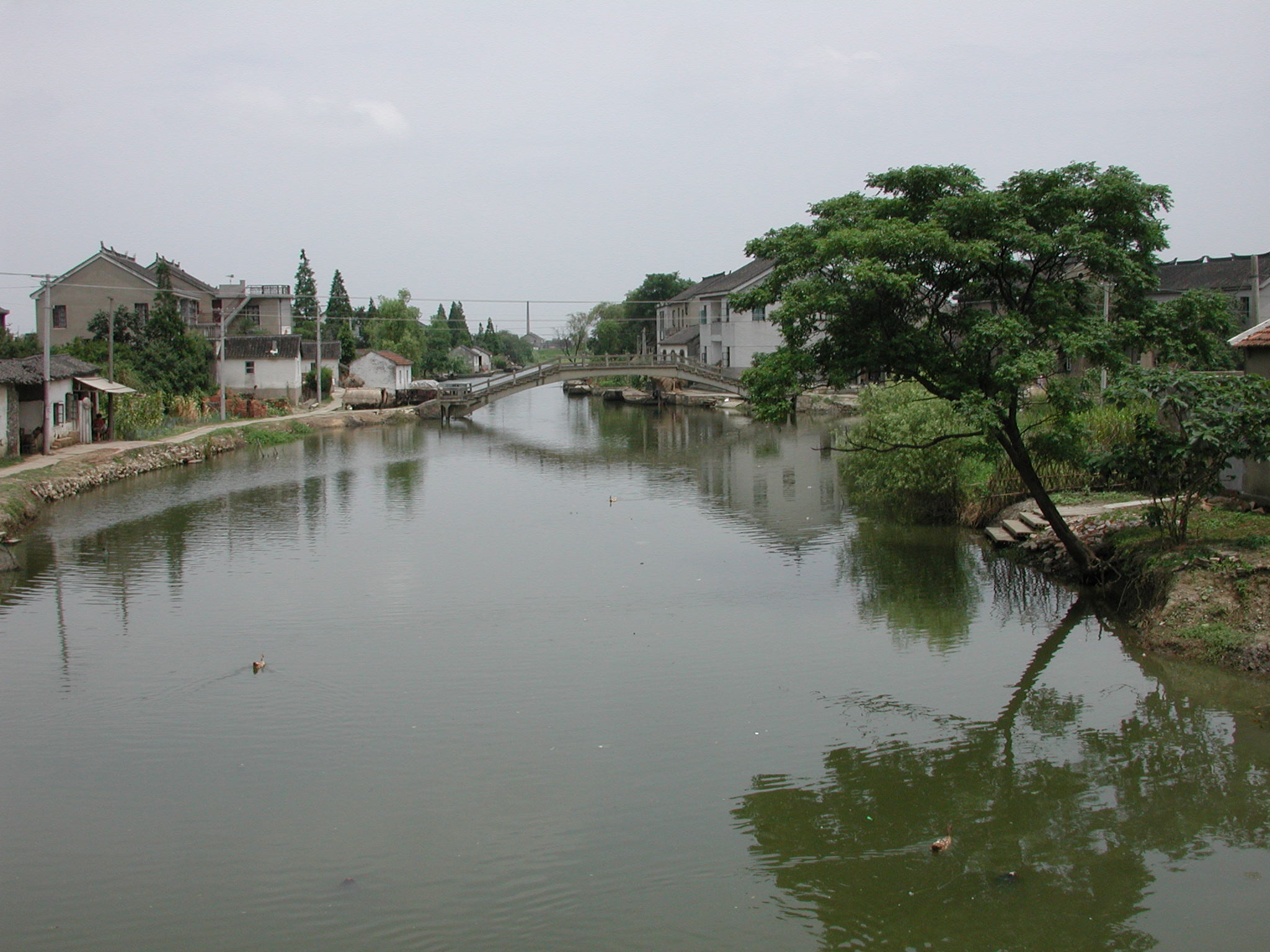 DSCN3466.JPG(403 Kbyte)