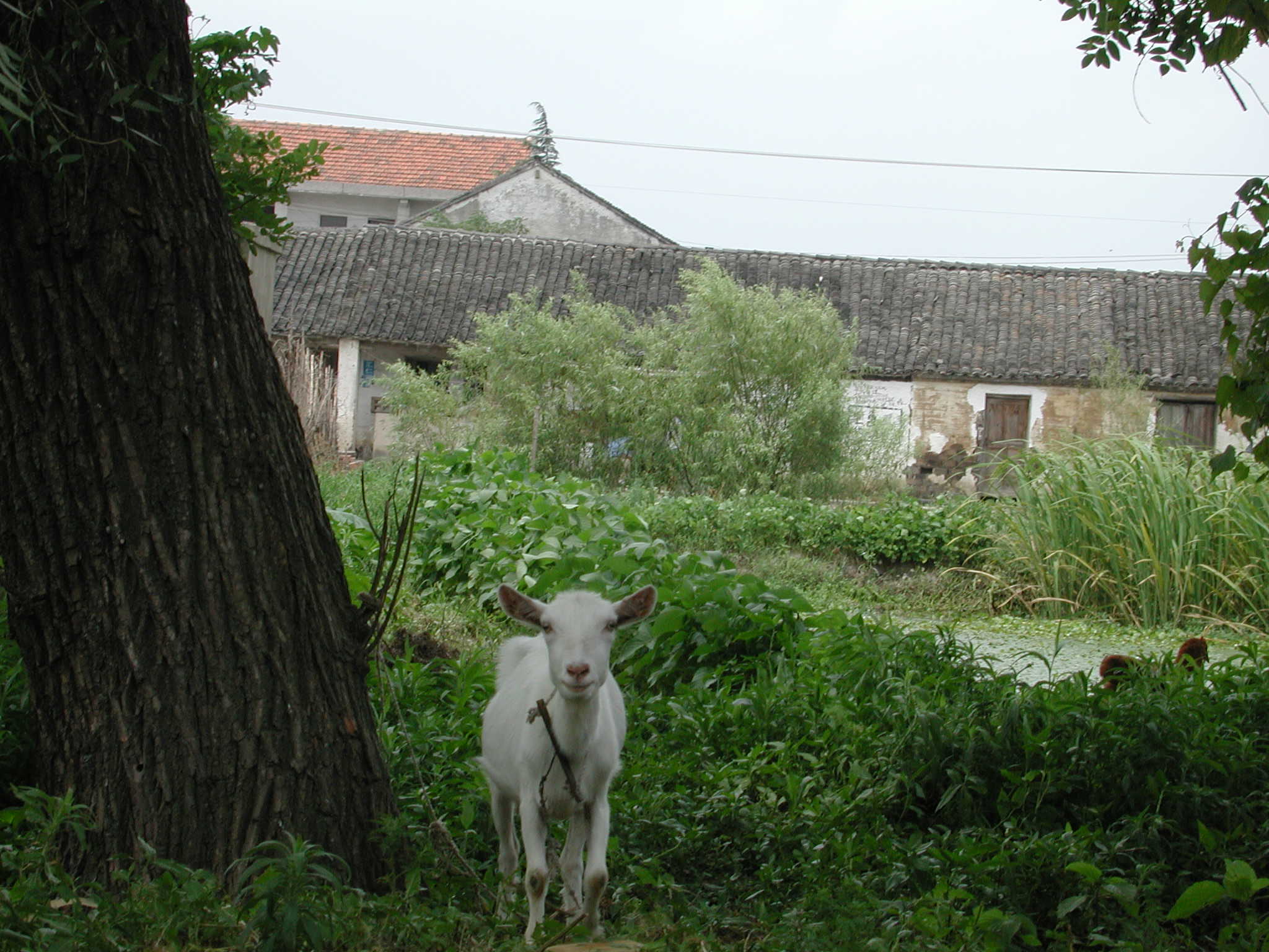 DSCN3467.JPG(336 Kbyte)