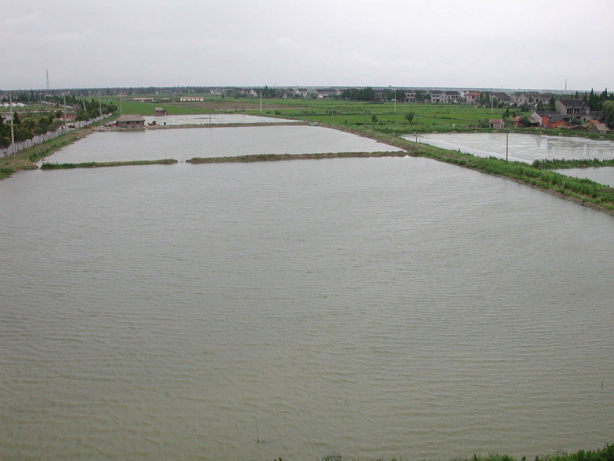 DSCN3493.JPG(402 Kbyte)