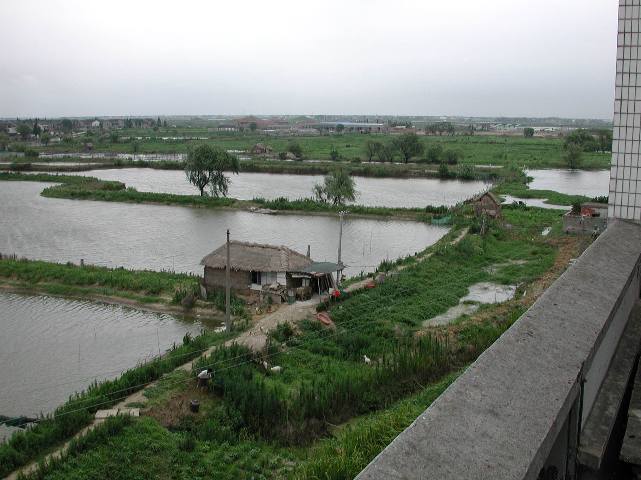 DSCN3495.JPG(388 Kbyte)