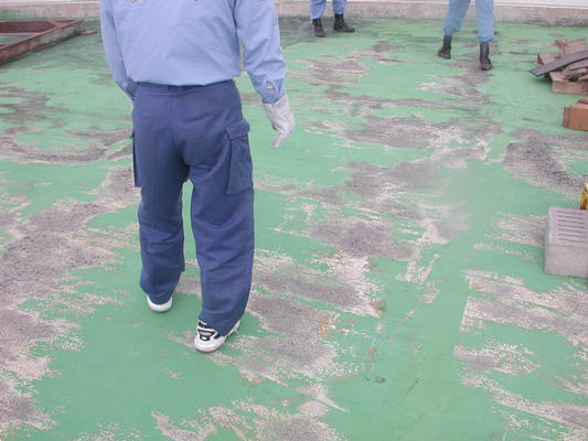 DSCN0155.jpg(54 Kbyte)