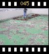 DSCN0158.jpg