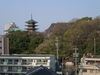 20050409_070936.jpg