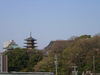 20050409_071029.jpg