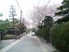 20050414_115752.jpg