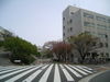 20050414_130446.jpg