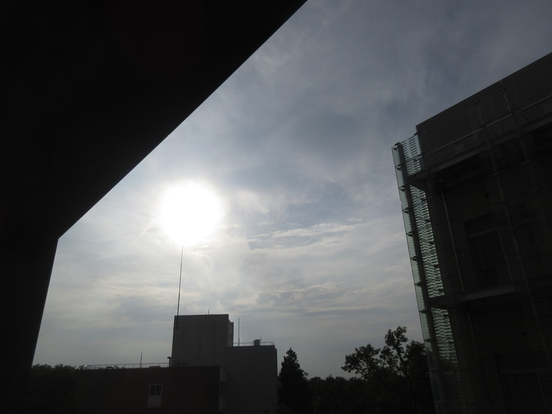 20190701_1704.jpg(82 Kbyte)