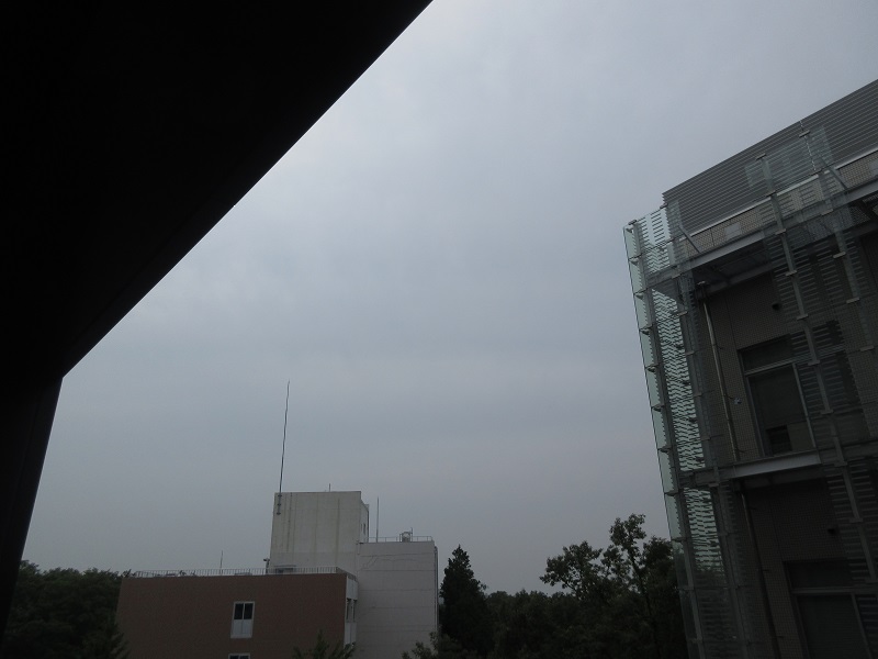 20190702_1544.jpg(94 Kbyte)