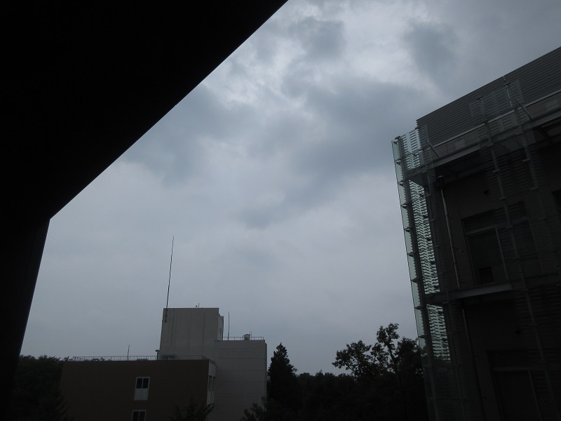 20190703_1245.jpg(90 Kbyte)