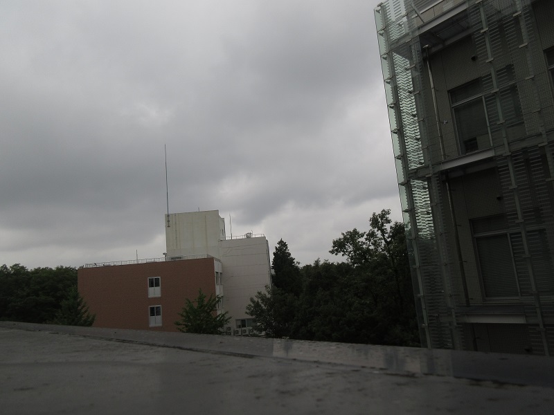 20190703_1708.jpg(114 Kbyte)