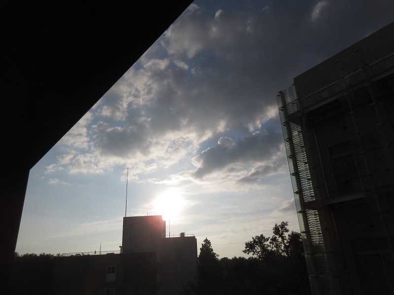 20190704_1802.jpg(99 Kbyte)