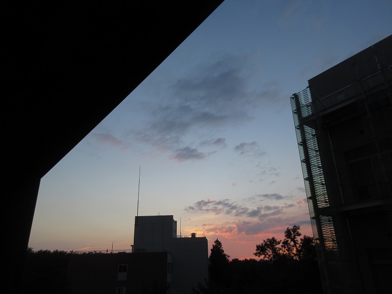 20190704_1904.jpg(88 Kbyte)