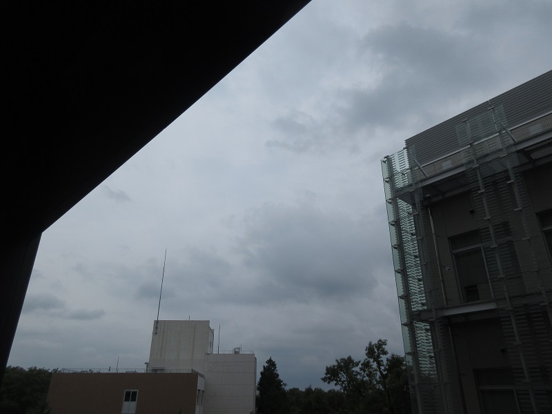 20190705_1321.jpg(97 Kbyte)