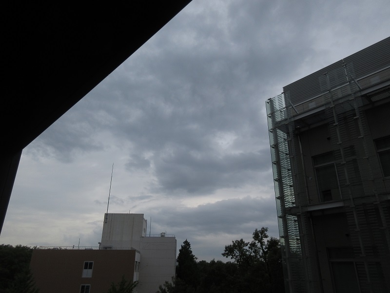 20190705_1655.jpg(103 Kbyte)