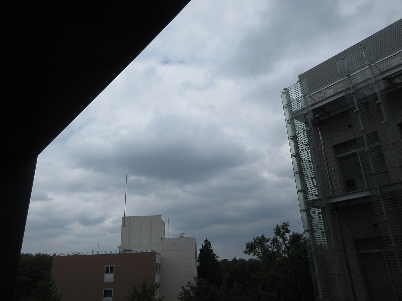 20190710_1127.jpg(106 Kbyte)