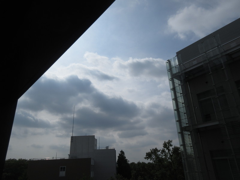 20190710_1513.jpg(91 Kbyte)