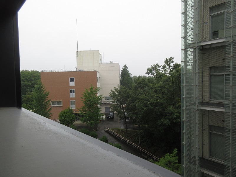 20190711_1231.jpg(150 Kbyte)