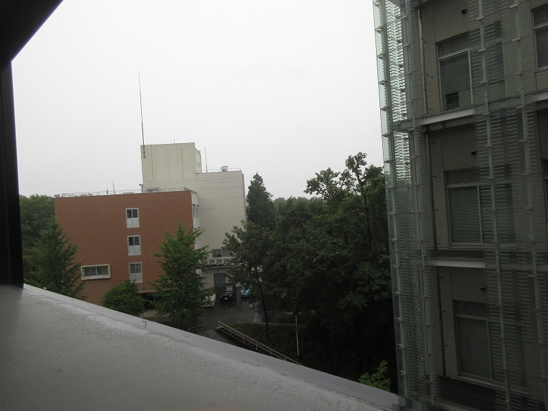 20190711_1634.jpg(143 Kbyte)