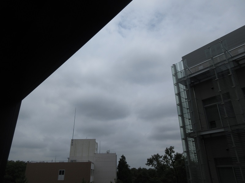 20190712_1126.jpg(96 Kbyte)