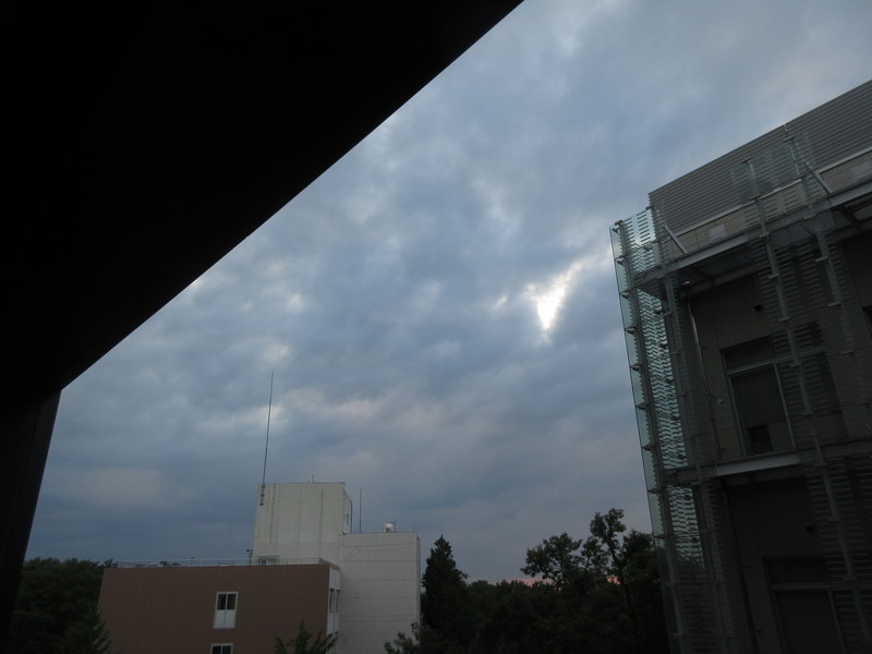 20190712_1838.jpg(92 Kbyte)