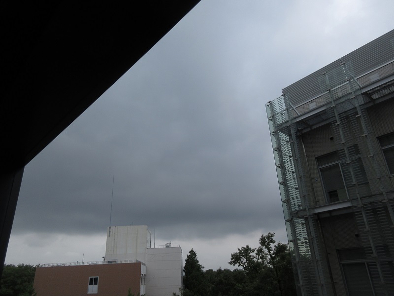 20190716_1147.jpg(106 Kbyte)