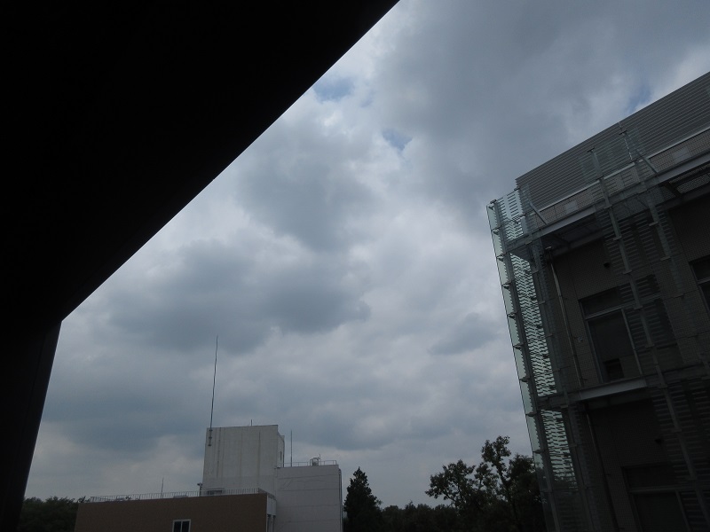 20190717_1210.jpg(99 Kbyte)