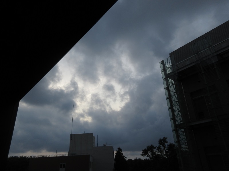 20190717_1840.jpg(89 Kbyte)