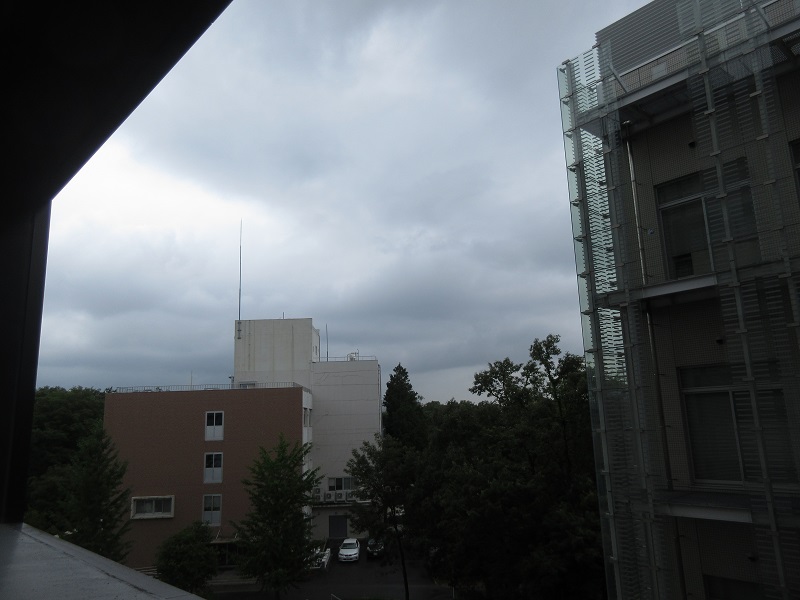 20190718_1157.jpg(118 Kbyte)