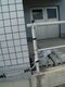 DSC01240.JPG