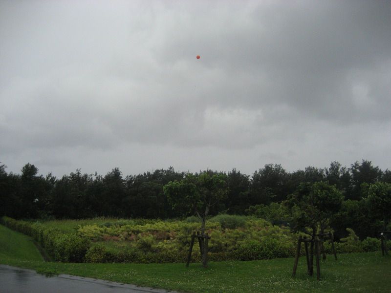 IMG_2931.JPG(104 Kbyte)