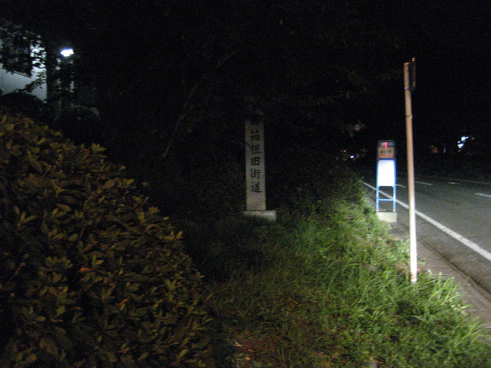 20070922_2208.jpg(271 Kbyte)