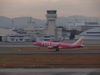 2012-11-08a.jpg
