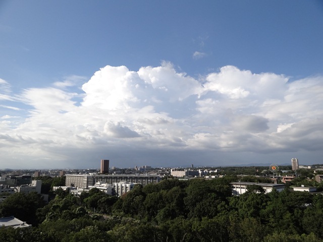 2012-08-05.jpg(98 Kbyte)