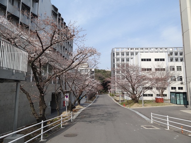 2013-03-24.jpg(144 Kbyte)