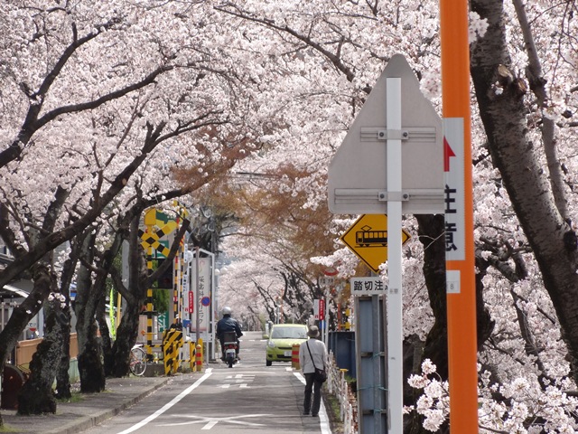 2013-04-01.jpg(193 Kbyte)