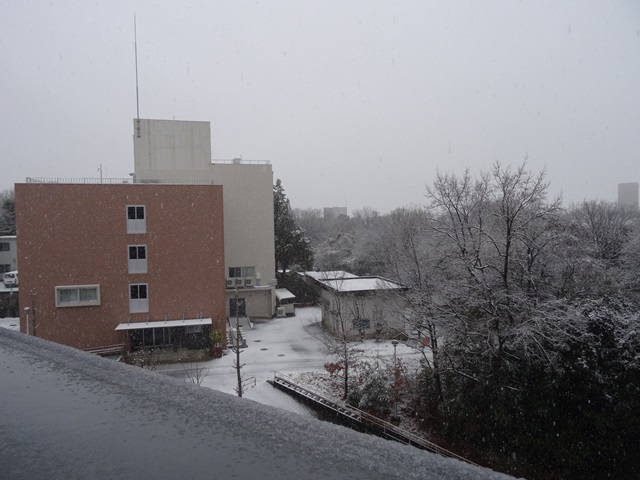 2014-02-08.jpg(135 Kbyte)