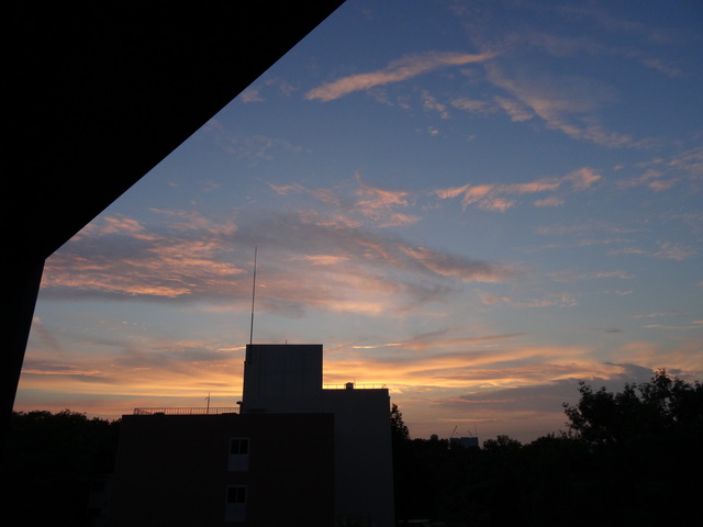 2014-07-14.jpg(103 Kbyte)