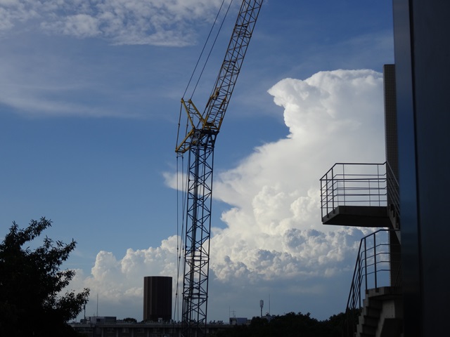 2014-08-18.jpg(117 Kbyte)