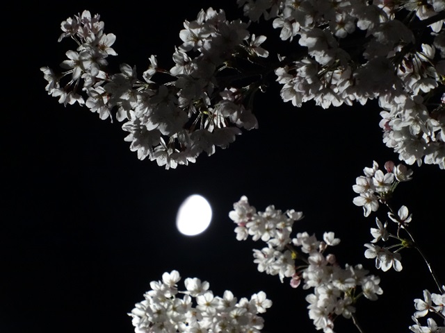 2015-03-30.jpg(135 Kbyte)