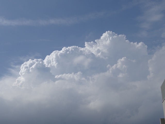 2015-07-27.jpg(82 Kbyte)