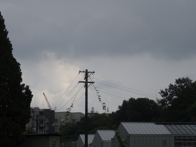 2015-08-21.jpg(98 Kbyte)