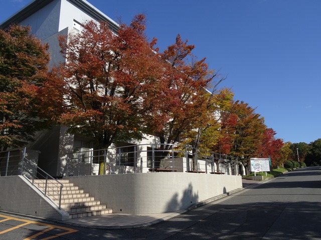 2016-11-11.jpg(158 Kbyte)