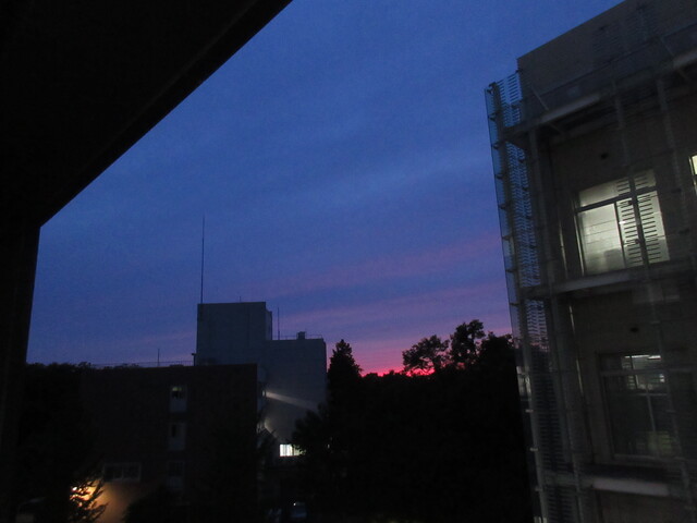 2021-05-11.jpg(76 Kbyte)