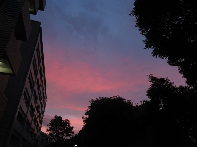 2021-05-27.jpg(78 Kbyte)
