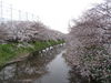 2016-03-31.jpg