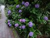 2016-06-16.jpg
