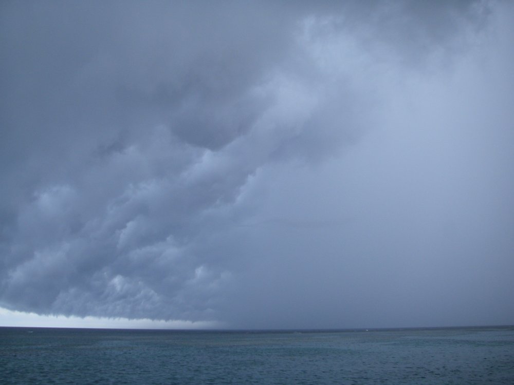 rain2_20060618